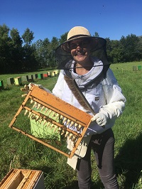 clémentine Curial apiculture